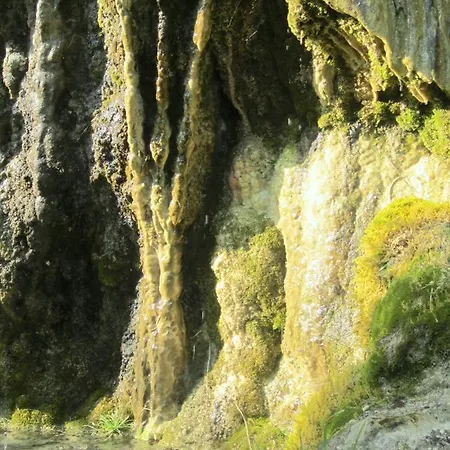 Casa vacanze Haus Im Garten *