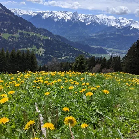 Haus Im Garten Φελτκίρχ